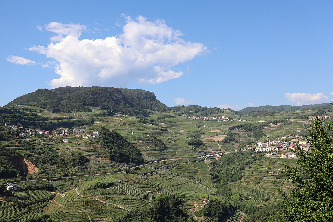 Campi terrazzati nel comune di Giovo; i tre paesi sono, da sinistra, Palù, Ville e Verla