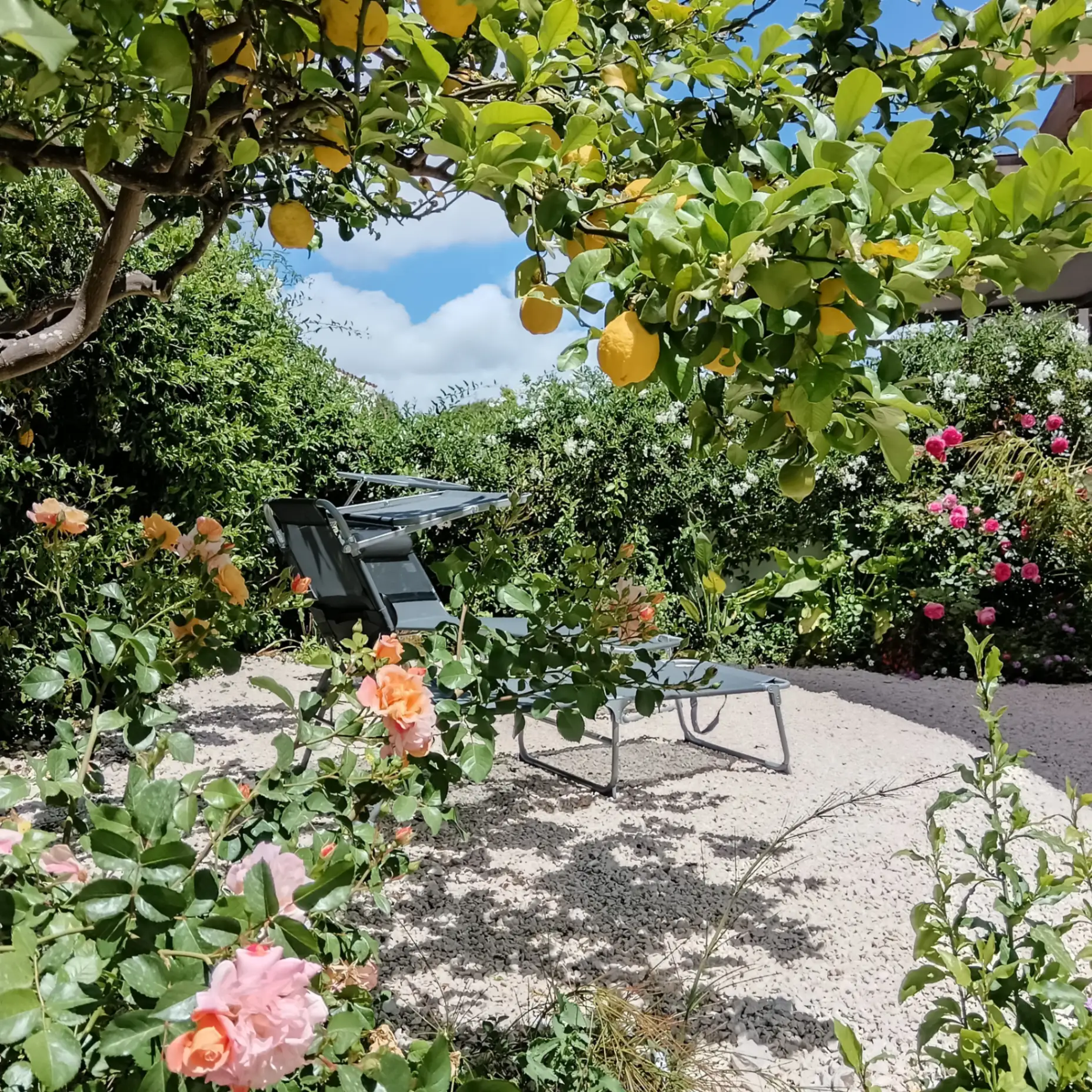 My Sicily Home — foto 13