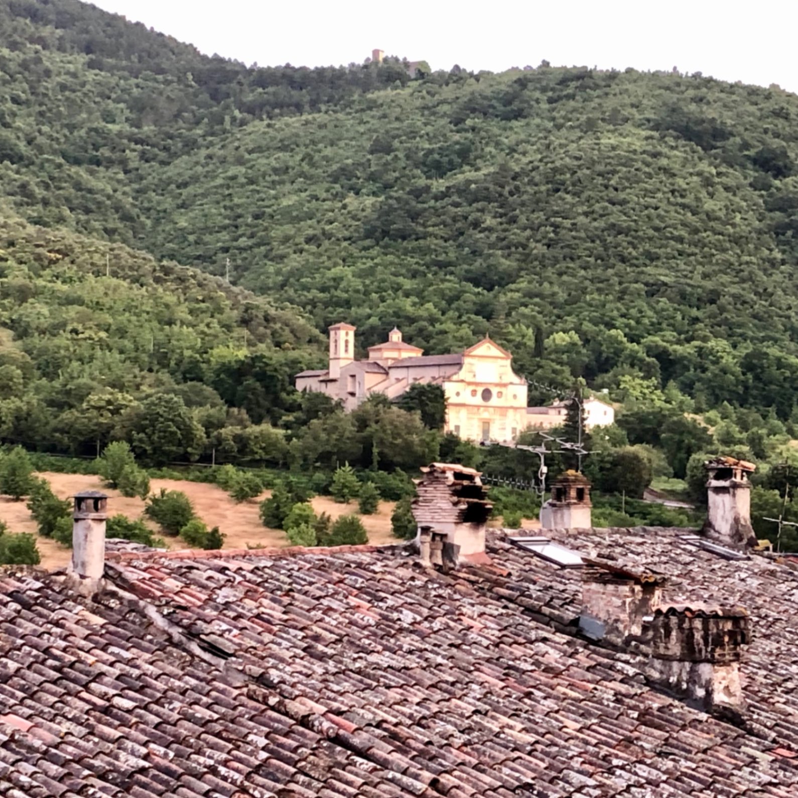 AntoniA Home — foto 12