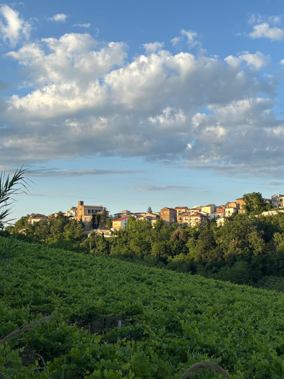 Villa Frysia Appartamento Vacanze — foto 9