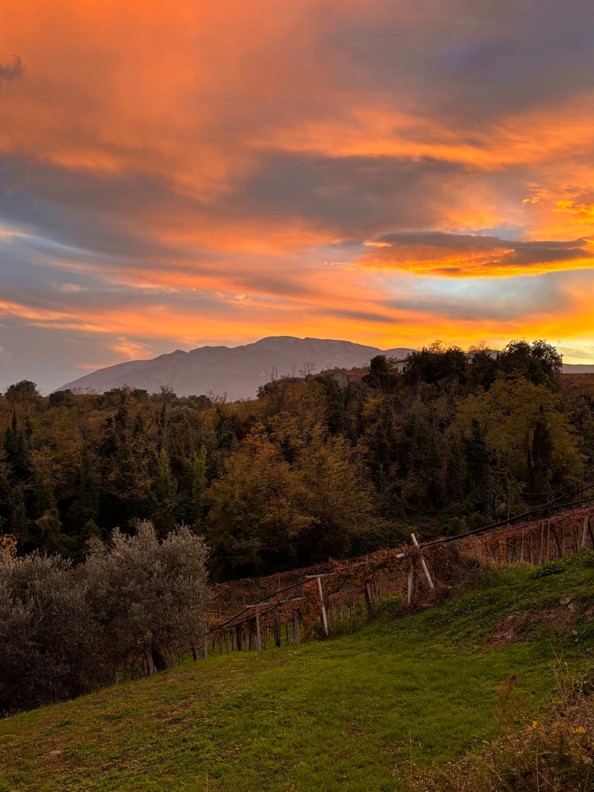 Villa Frysia Appartamento Vacanze — foto 10