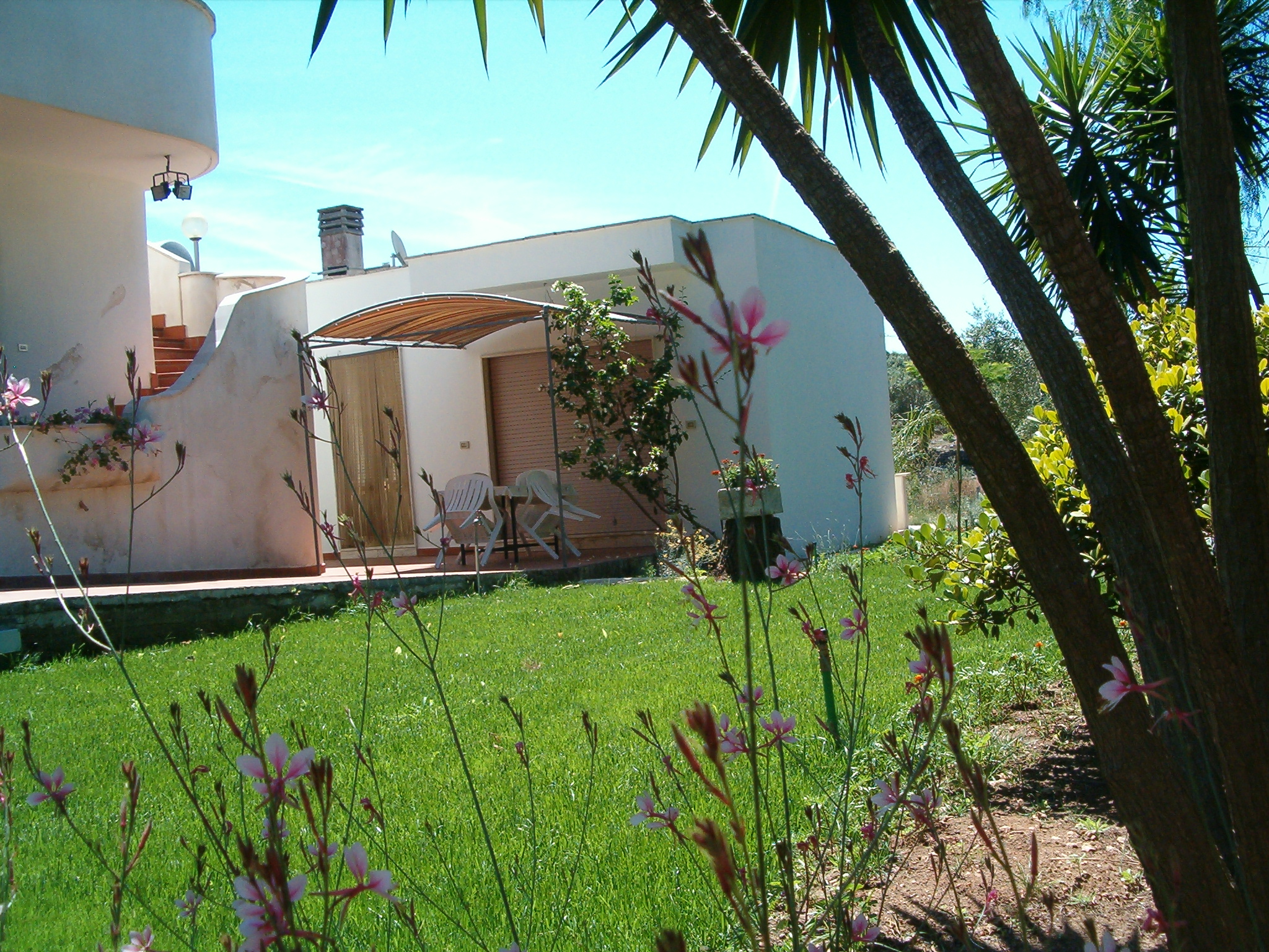 Villeriunite - Villa Mimosa — foto 2