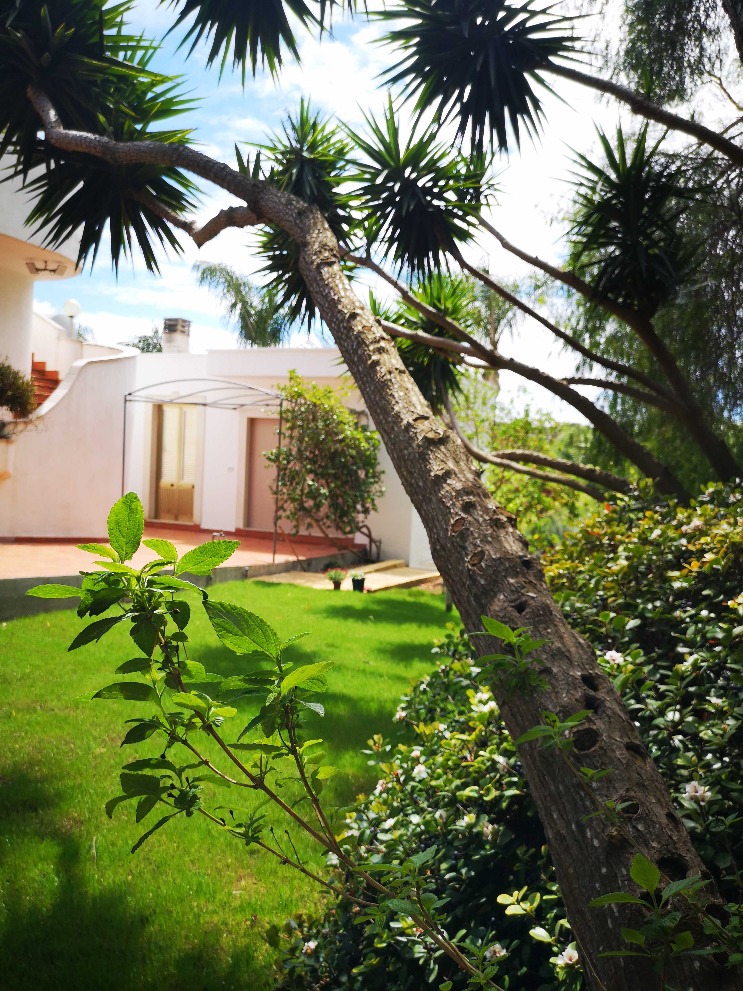 Villeriunite - Villa Mimosa