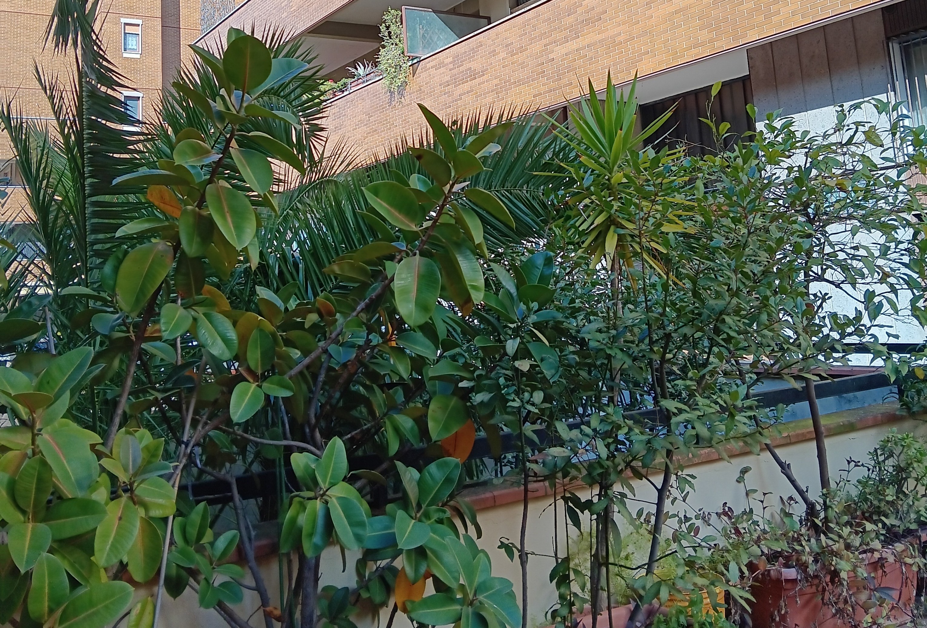 YOUR comfortable and luxury home in Florence — foto 6