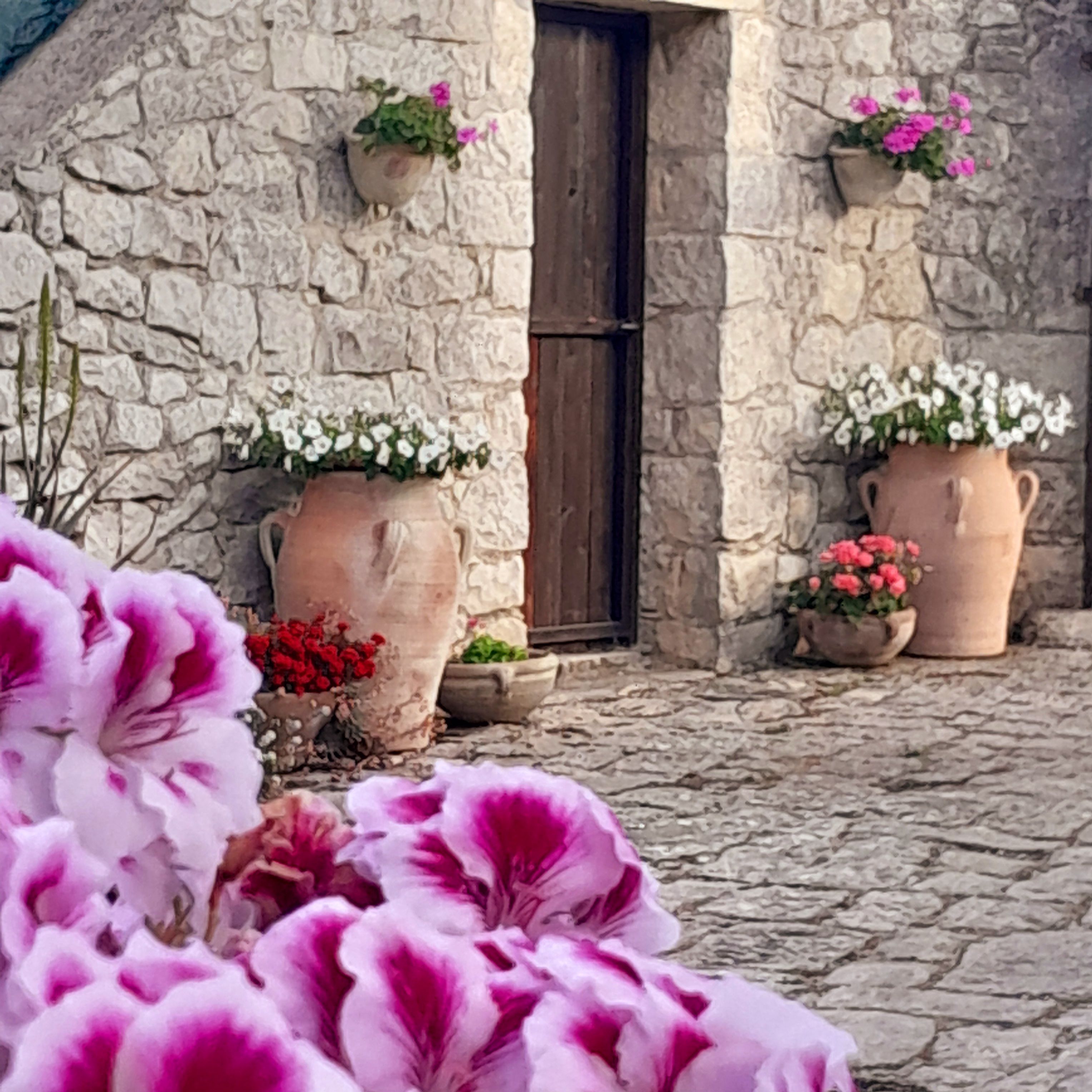 Dimore del monte — foto 10