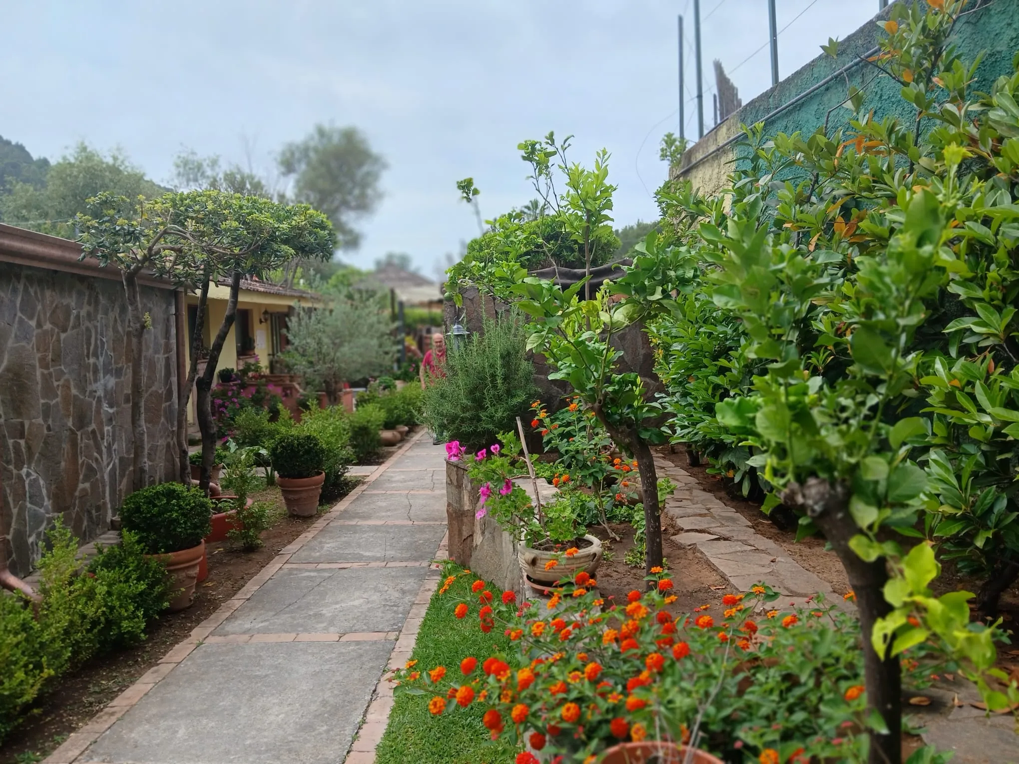 Hotel villaggio Tabù — foto 3
