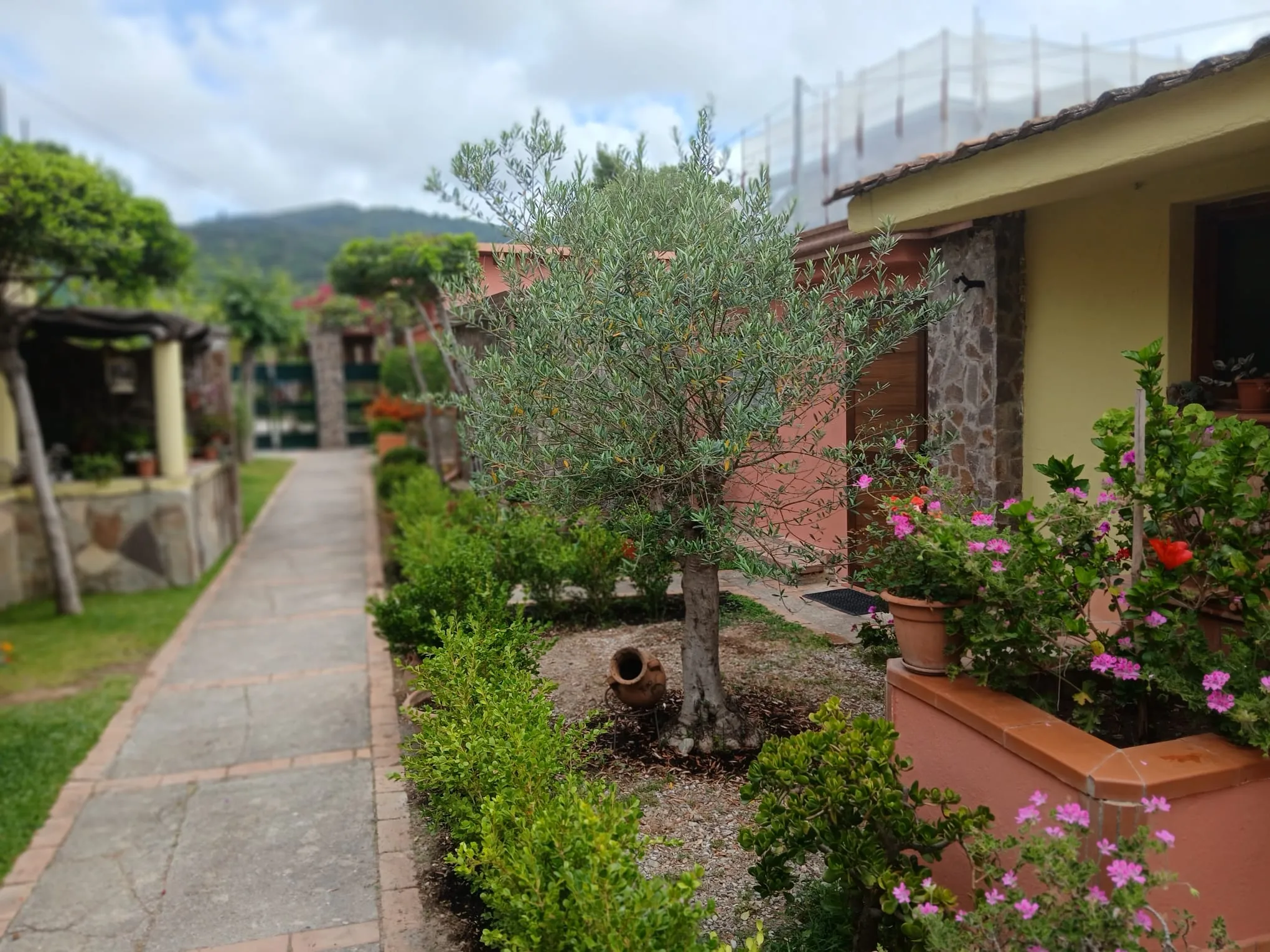 Hotel villaggio Tabù — foto 5
