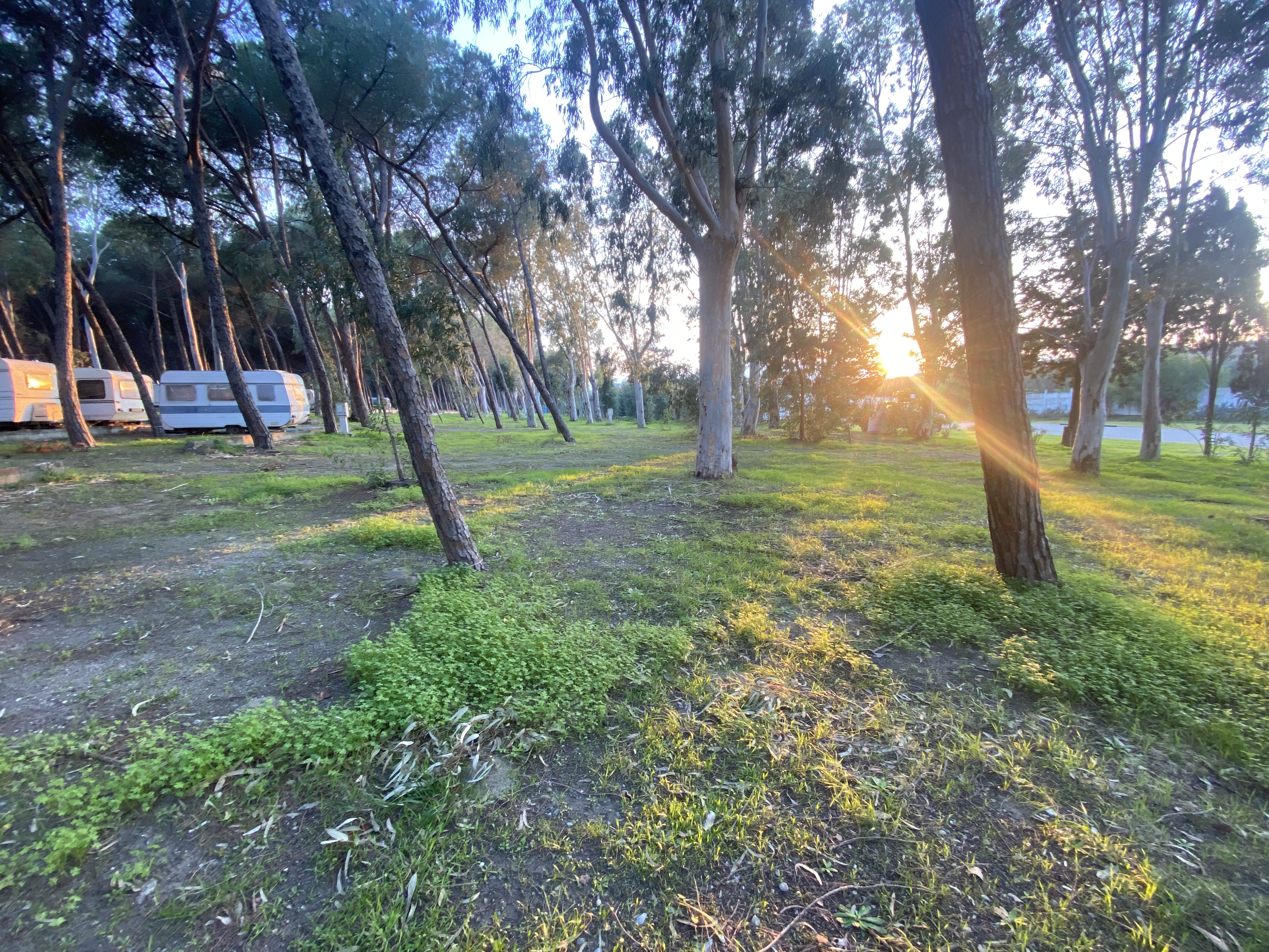 Camping Cammello Grigio — foto 2