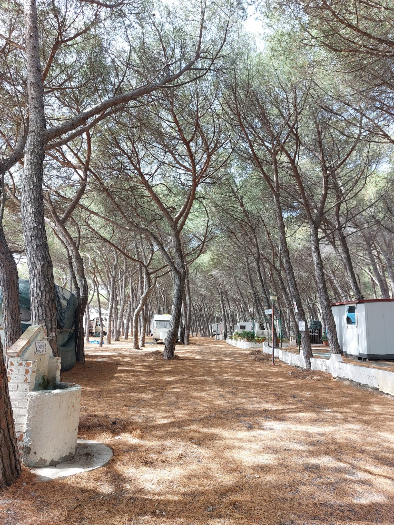 Camping Cammello Grigio — foto 6