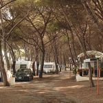 Camping Cammello Grigio — foto 10