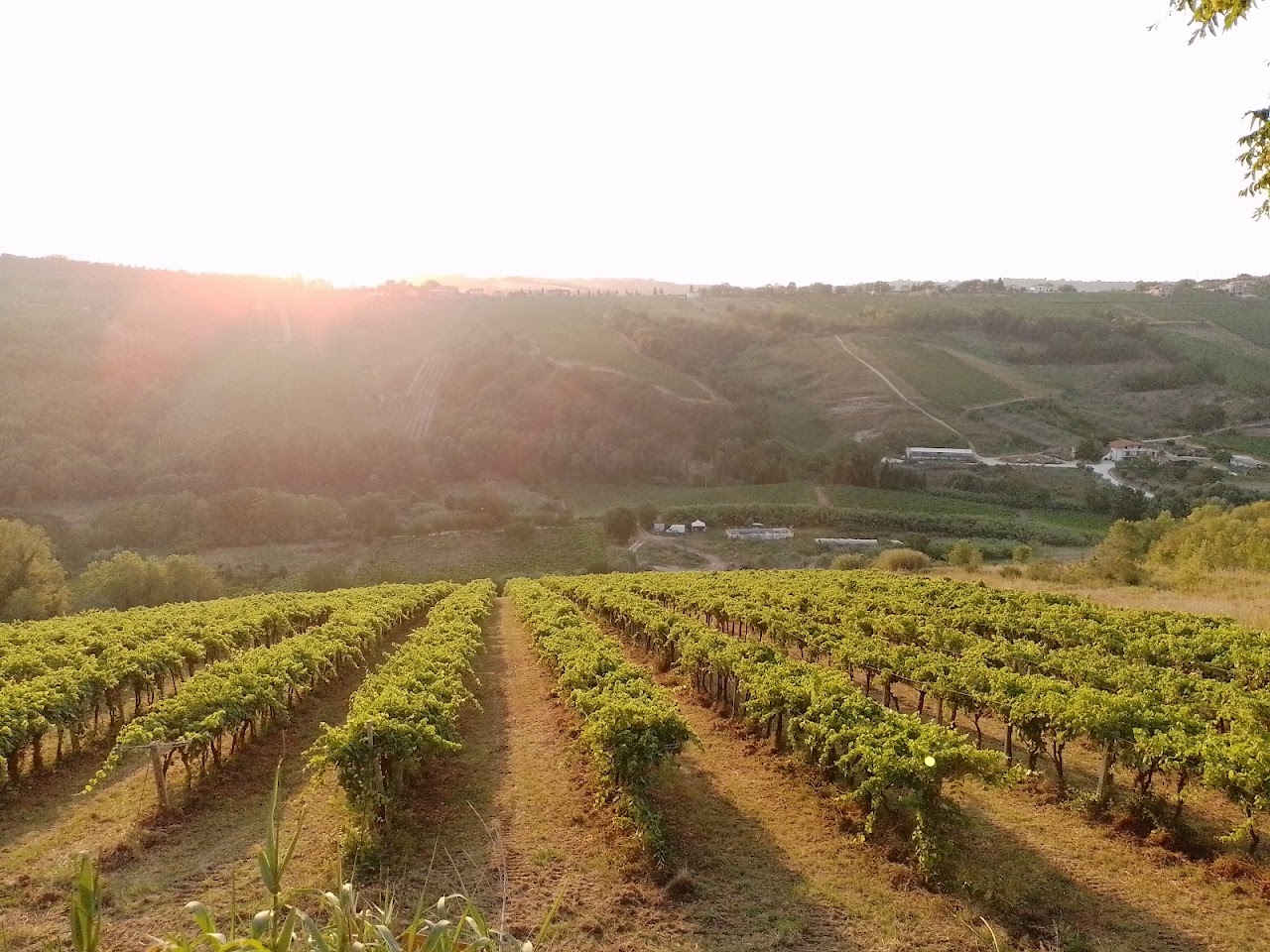 Agriturismo Campoletizia — foto 2
