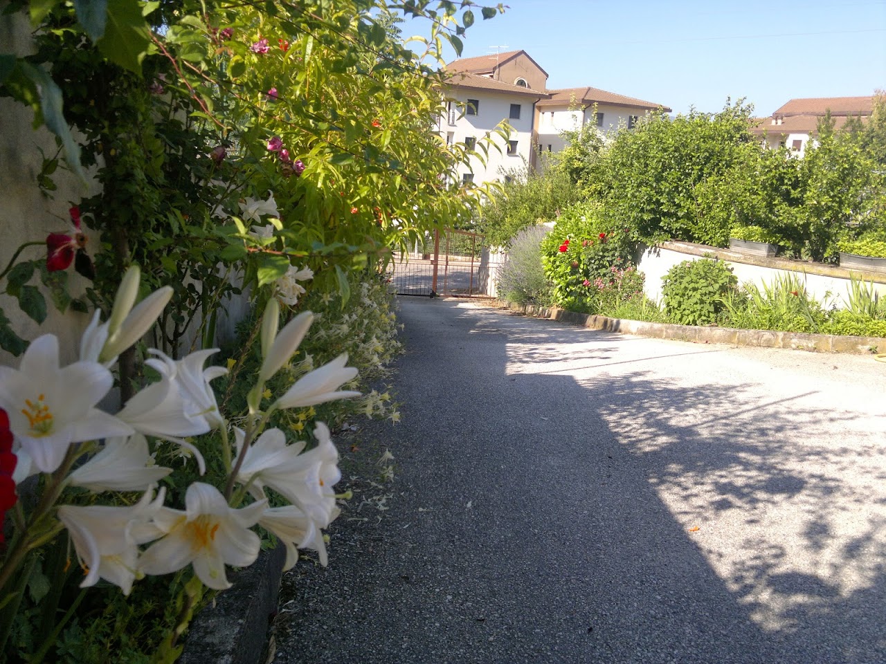 B&B L'Aquila — foto 4