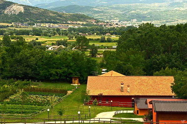 Fattoria Antica Forconia — foto 4