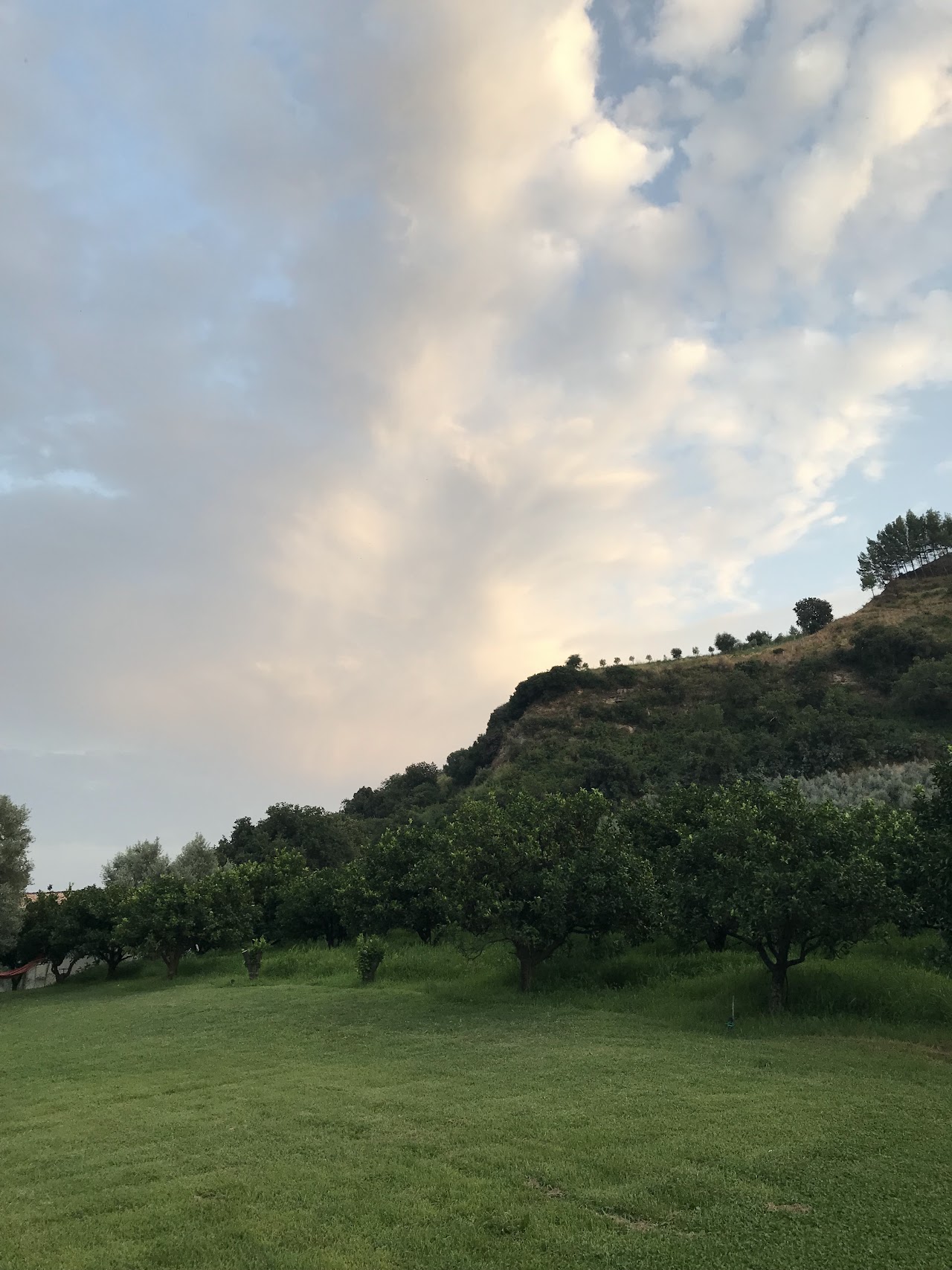 Agriturismo 'A Pignara — foto 3