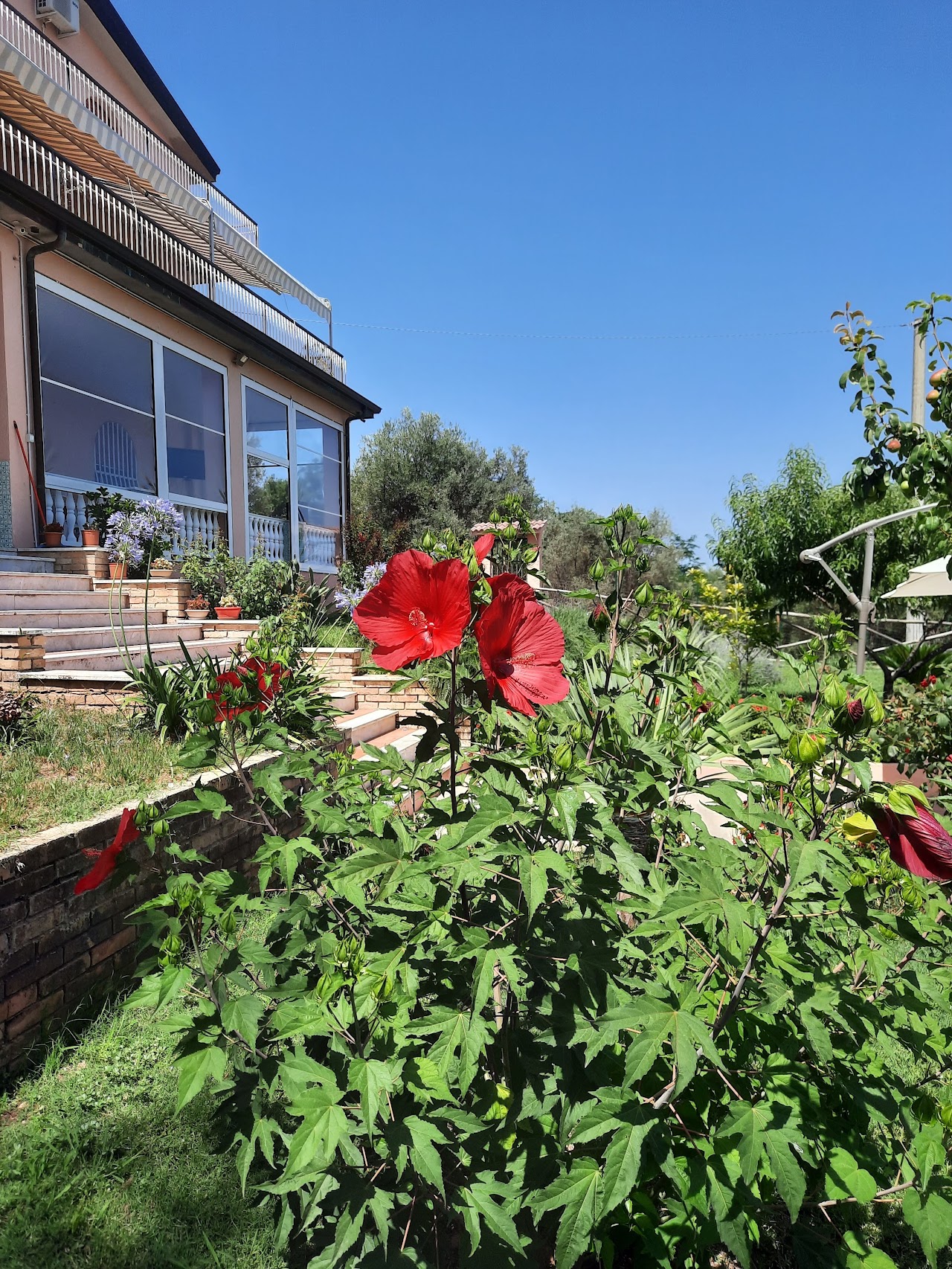 Villa Teresa B&B
