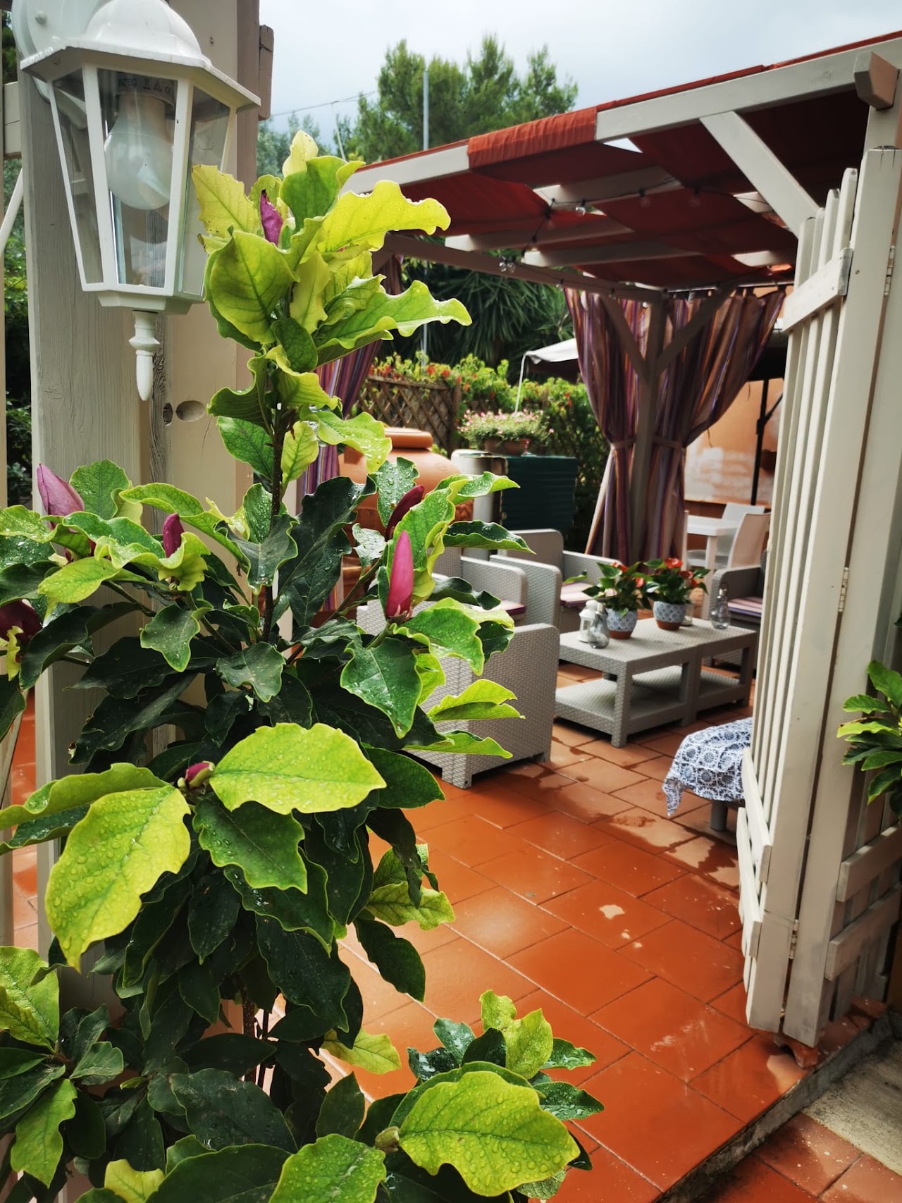 B&B La Magnolia