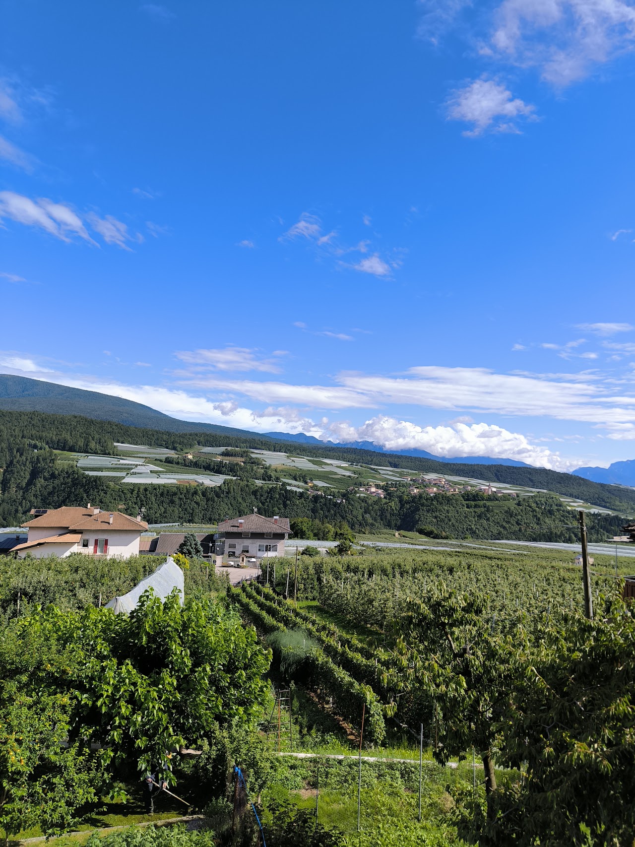 Agritur Al Canyon — foto 4