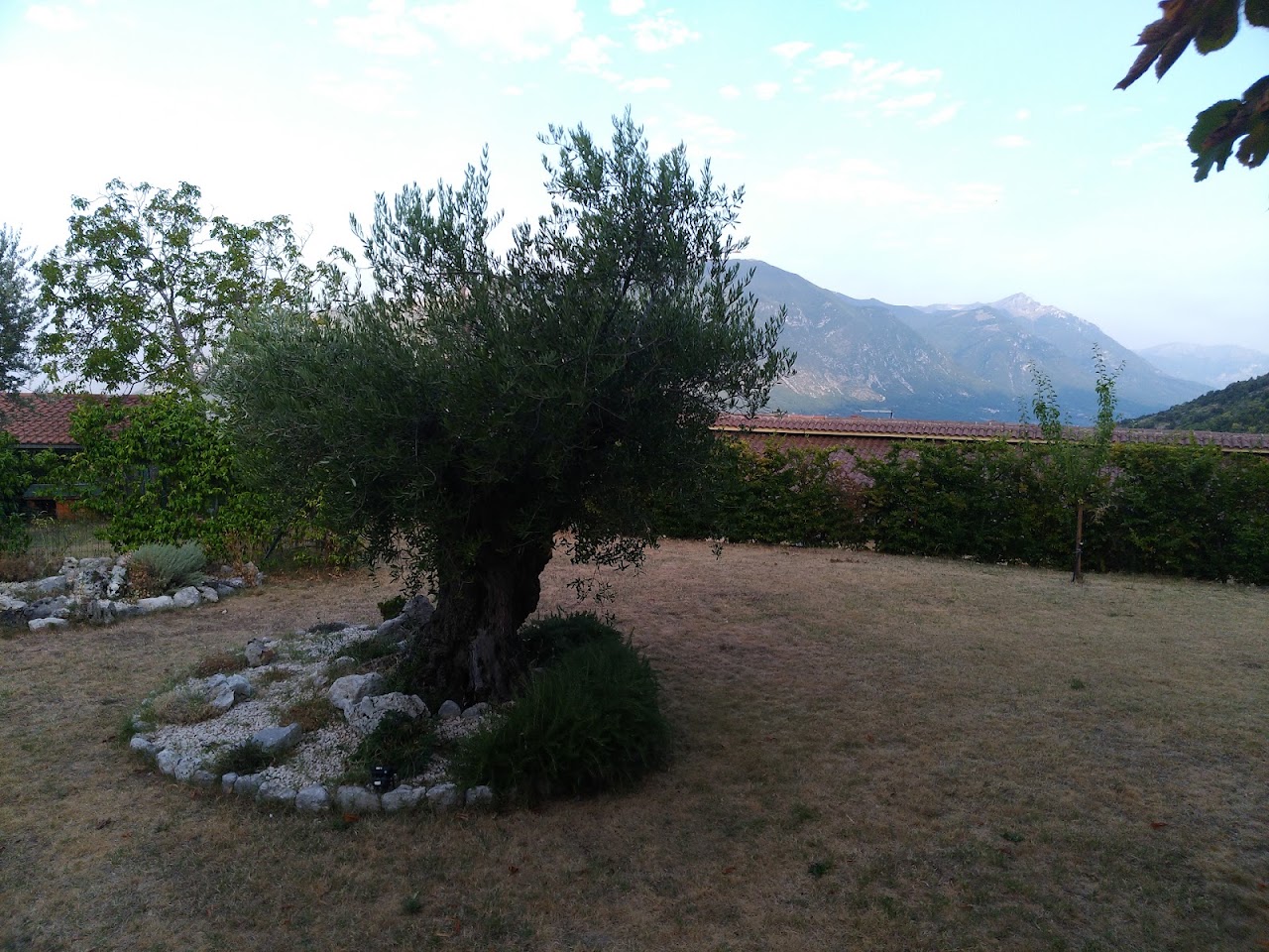 B&B Al Colle — foto 3
