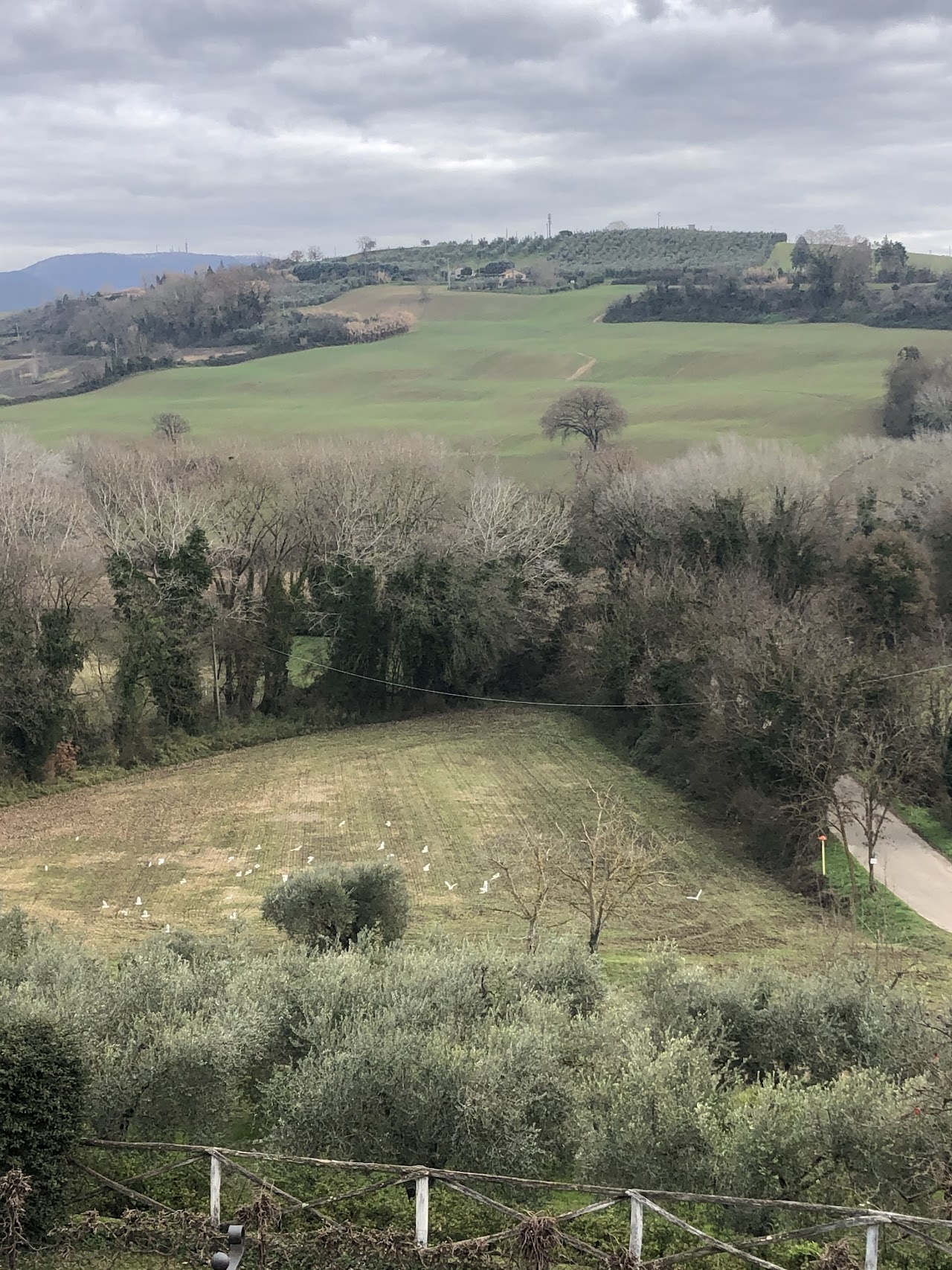 Country House Il Poggio — foto 4