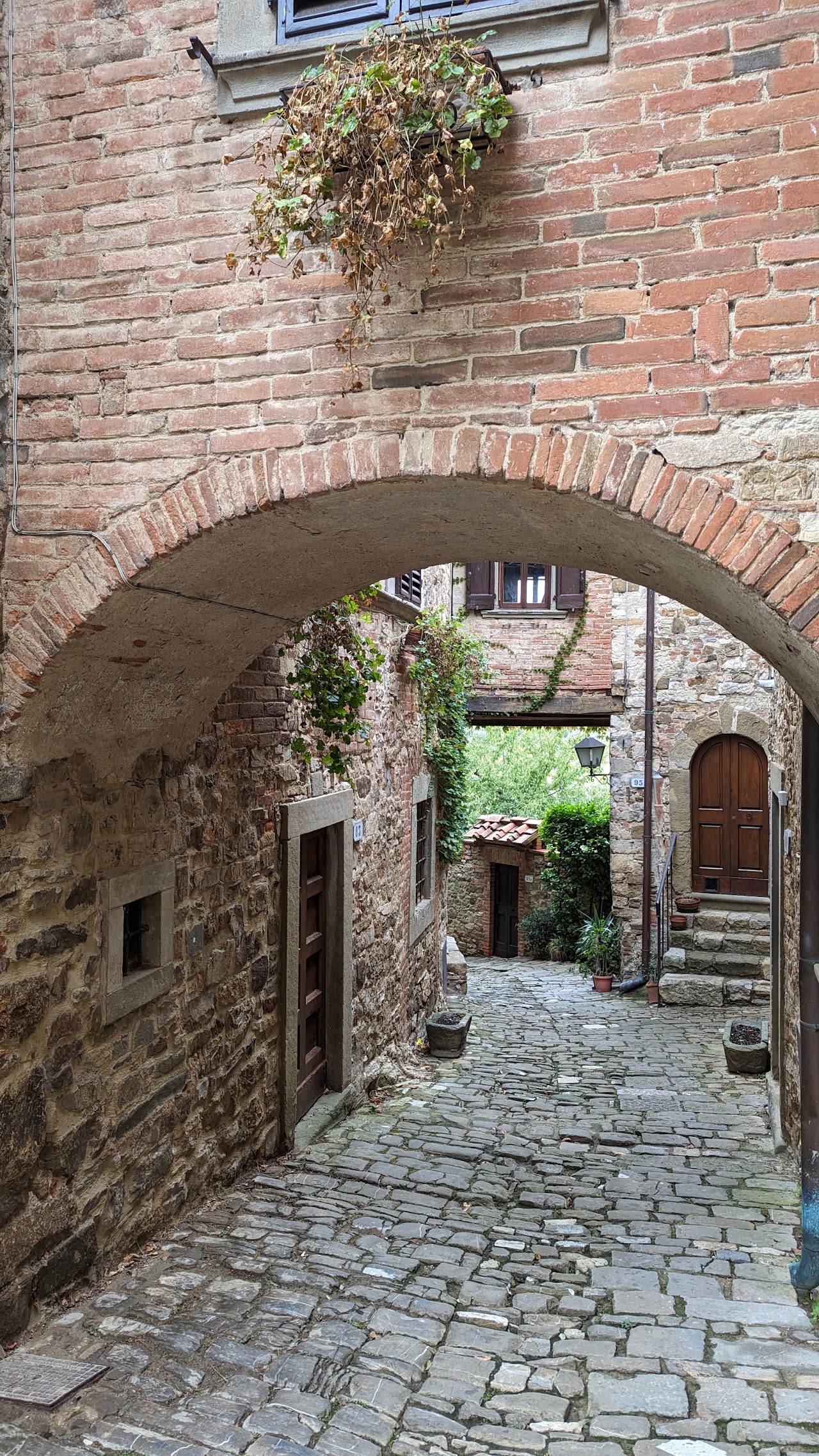 Il Papavero - Montefioralle — foto 3