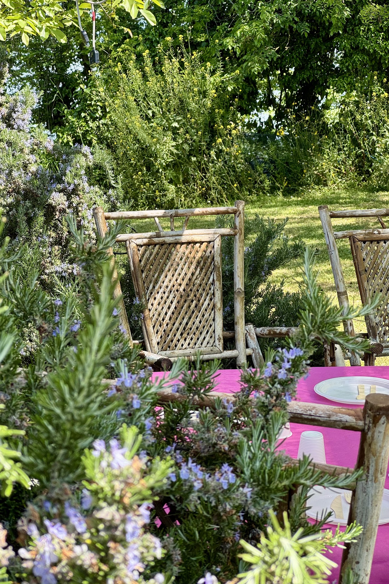 Villupa Country House B&B — foto 4