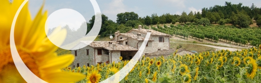 Agriturismo Ca' Verdeselle