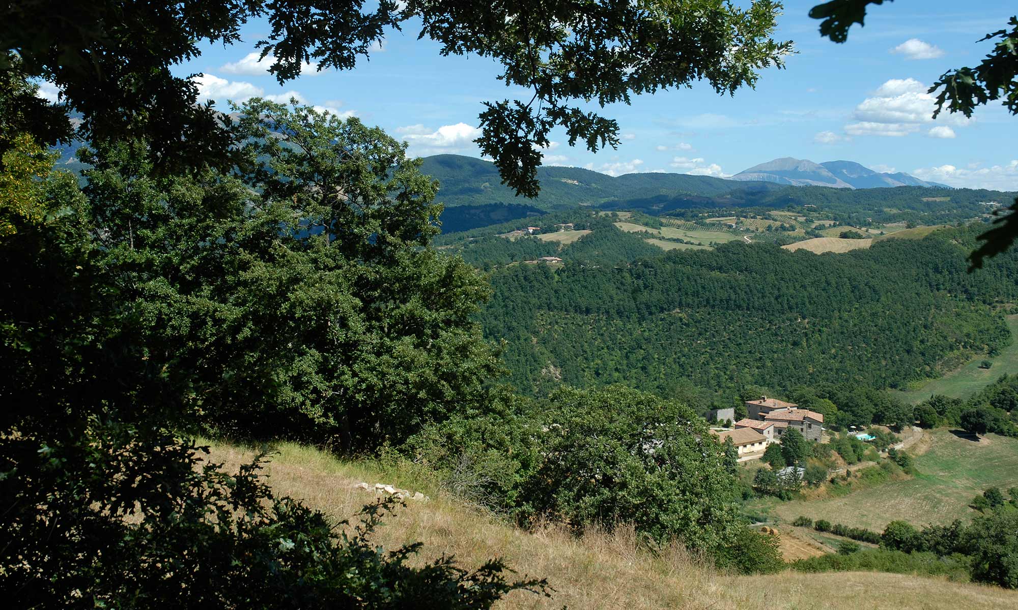 Agriturismo Chignoni