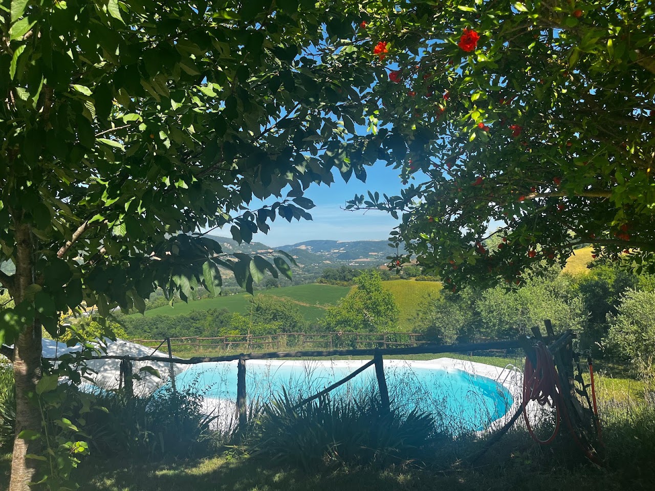 Agriturismo Montepolo Casa Vacanze Azienda Agricola Speziale Chiara — foto 2