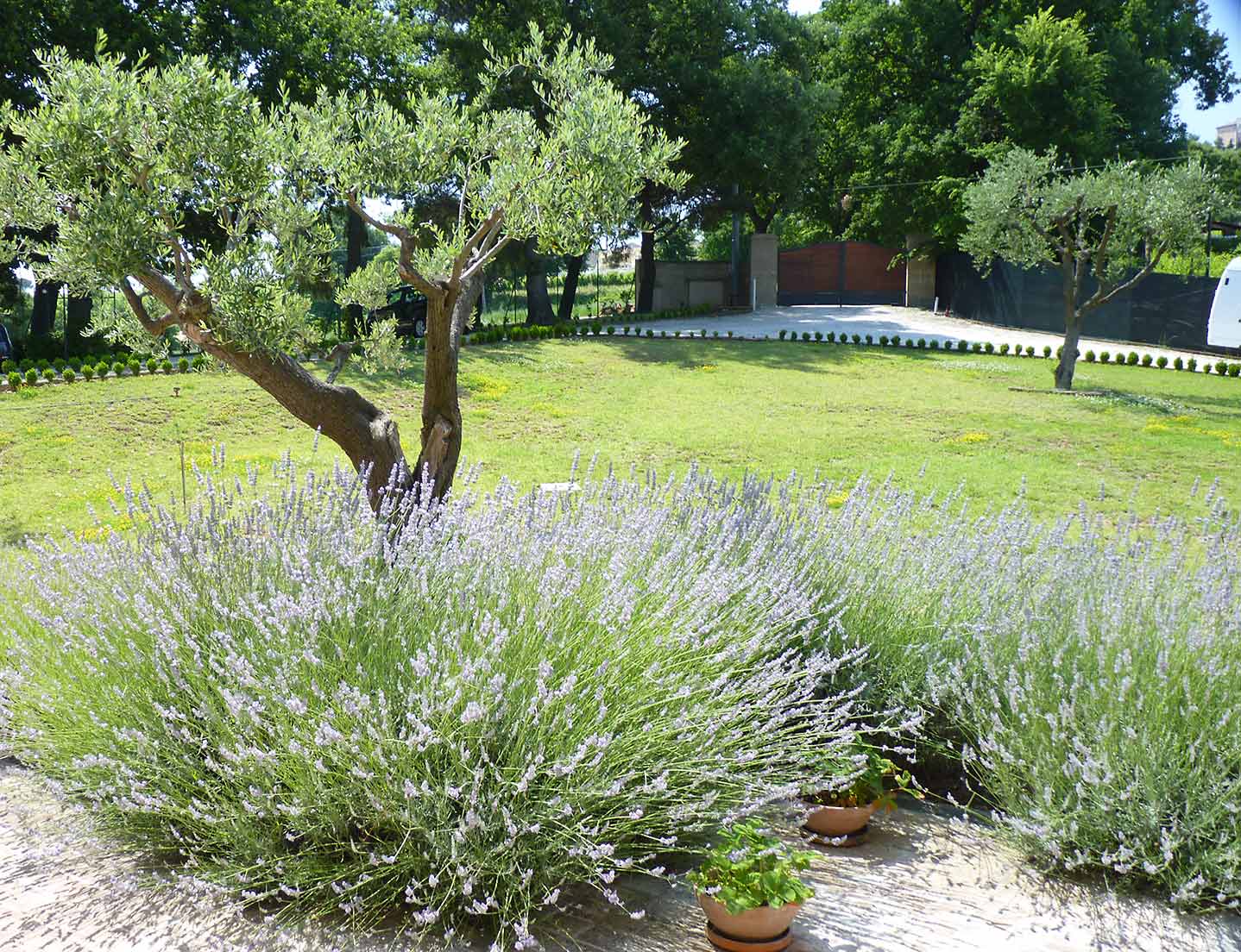 Country House Il Sassone — foto 1