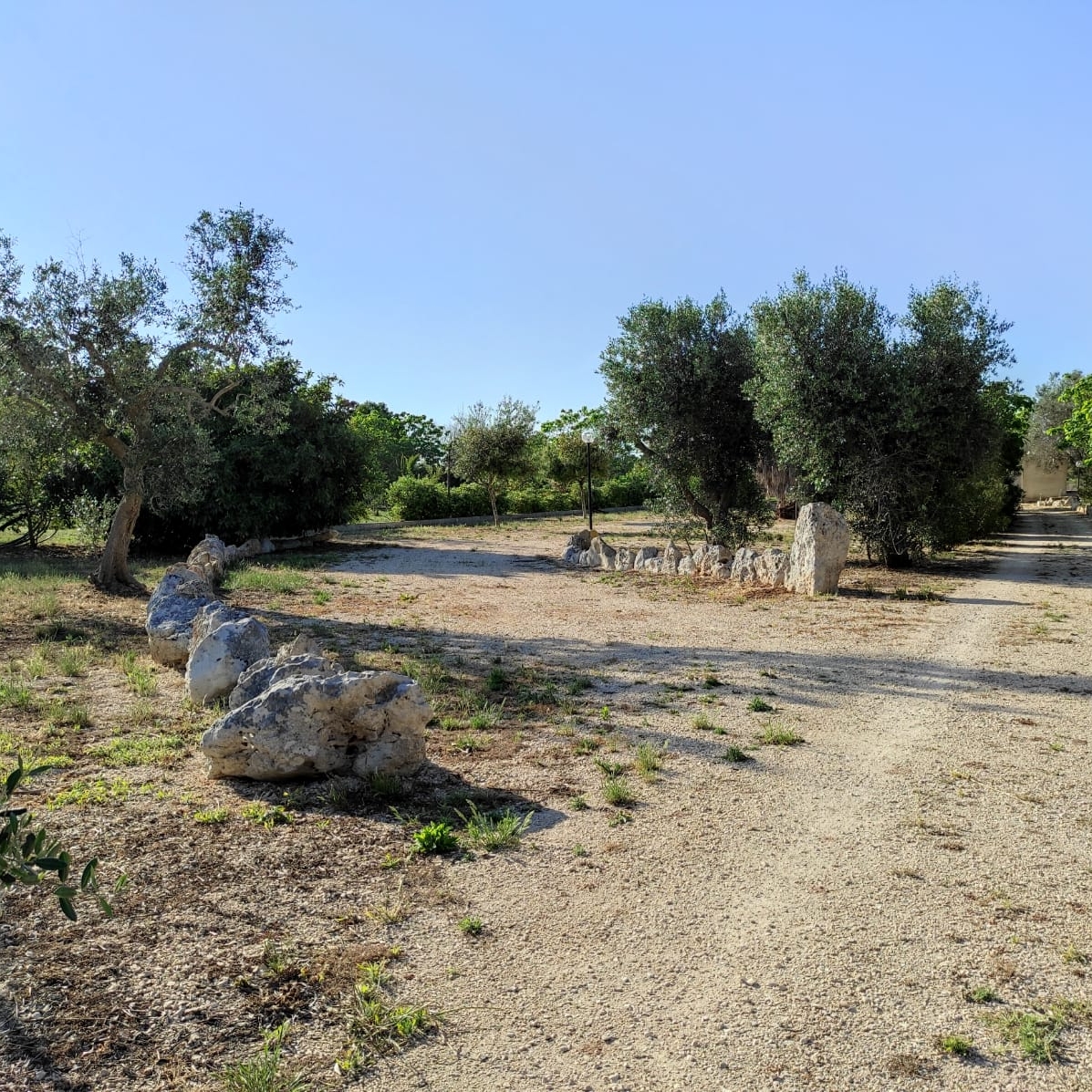 Agriturismo Il Miticello — foto 2