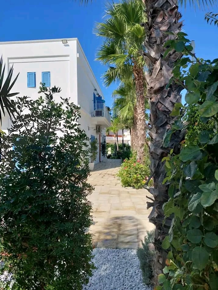 B&B La Colimena — foto 4