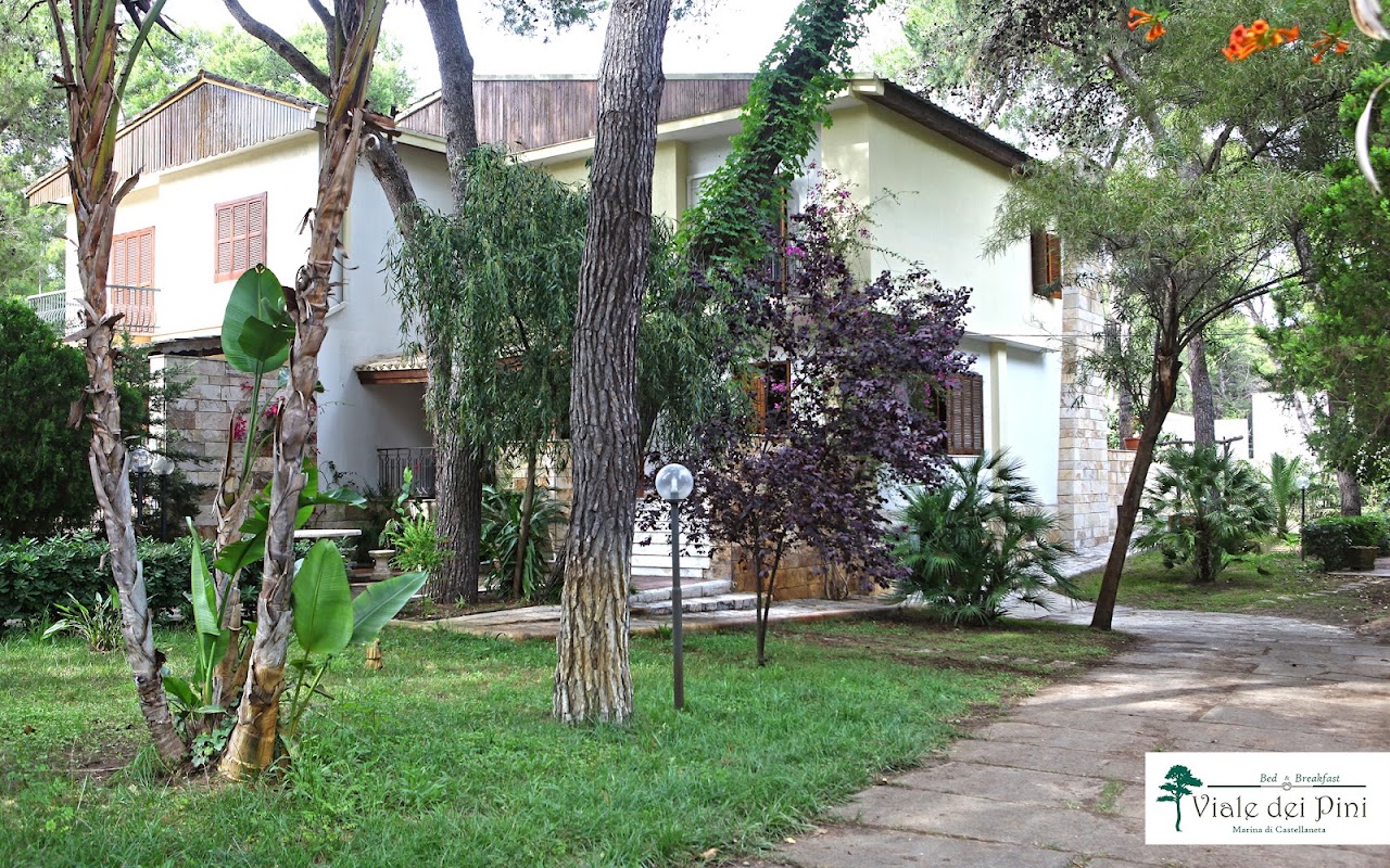 B&B Viale dei Pini