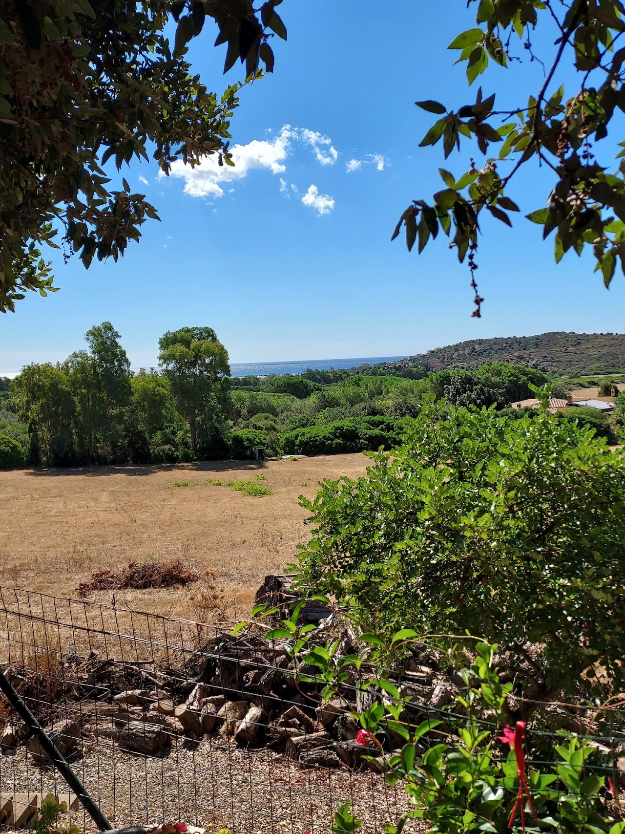 La Rosa dei Venti B&B — foto 3