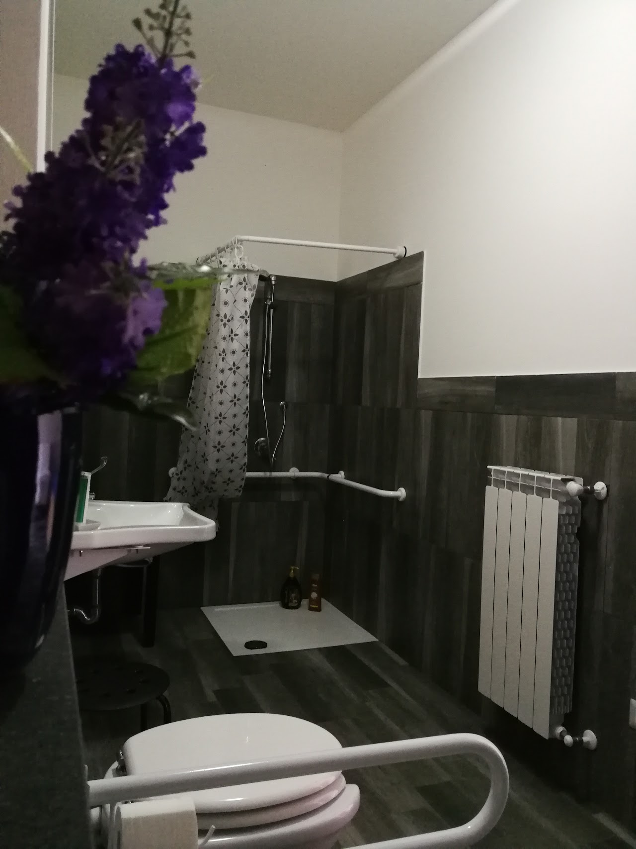 Viola nel Parco — foto 4