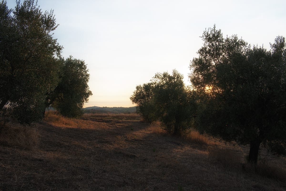 Agriturismo La Nostra Maremma — foto 4