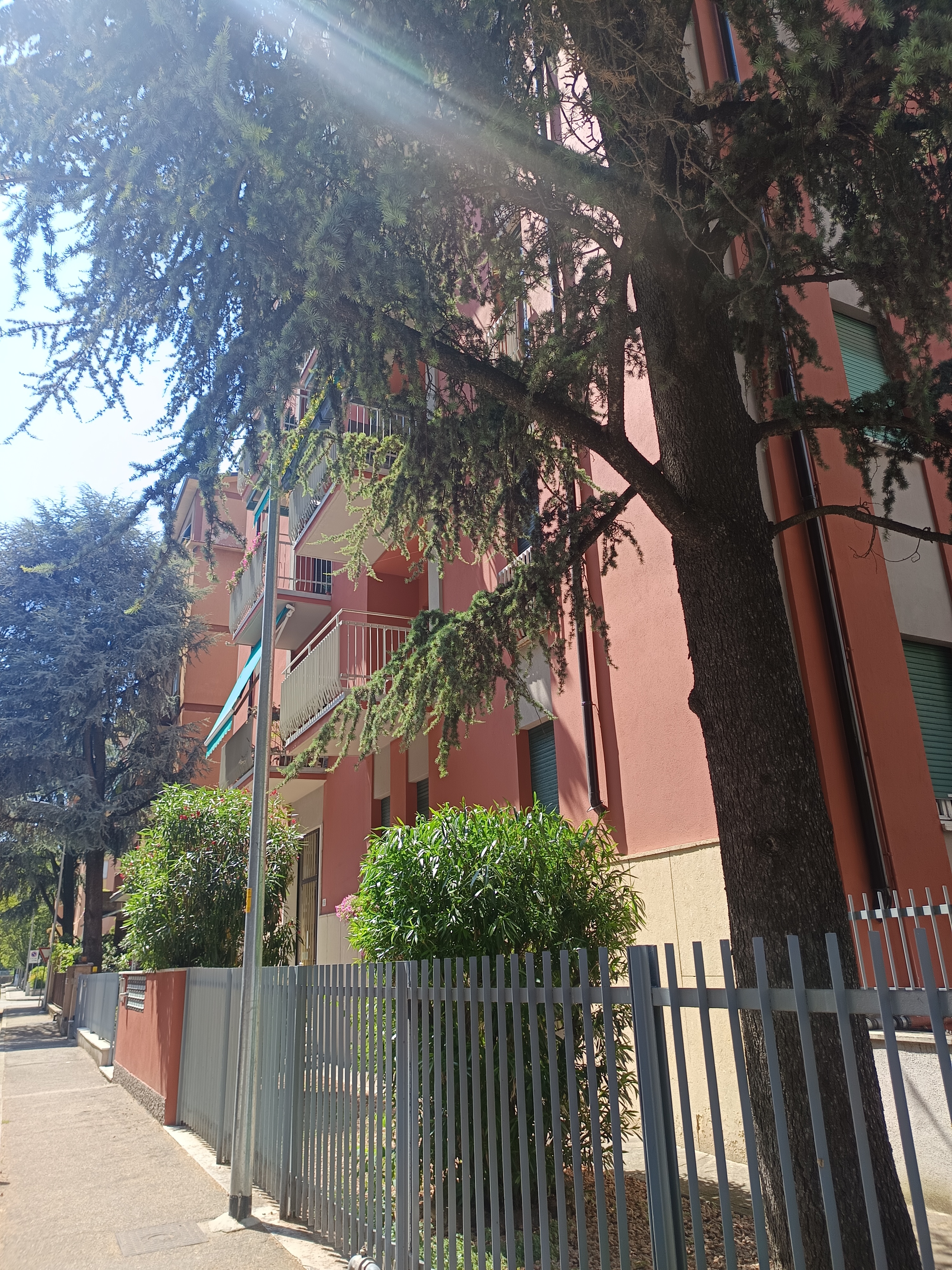 Catena Bridge House - comoda al centro e all'Ospedale Maggiore — foto 8