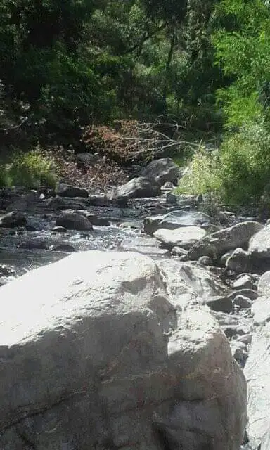 Il Covo dei Re — foto 20