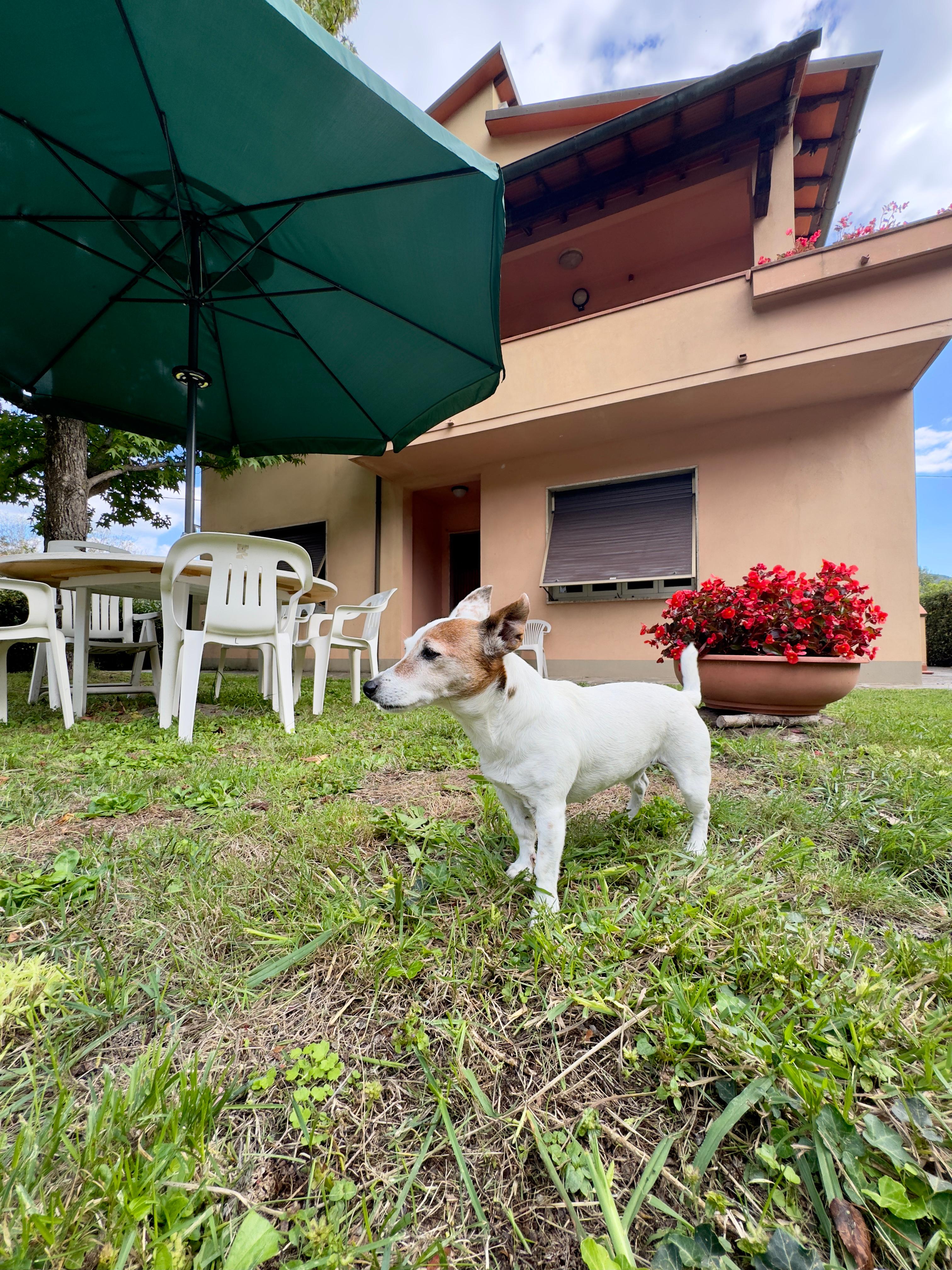 Leo's Place — foto 8