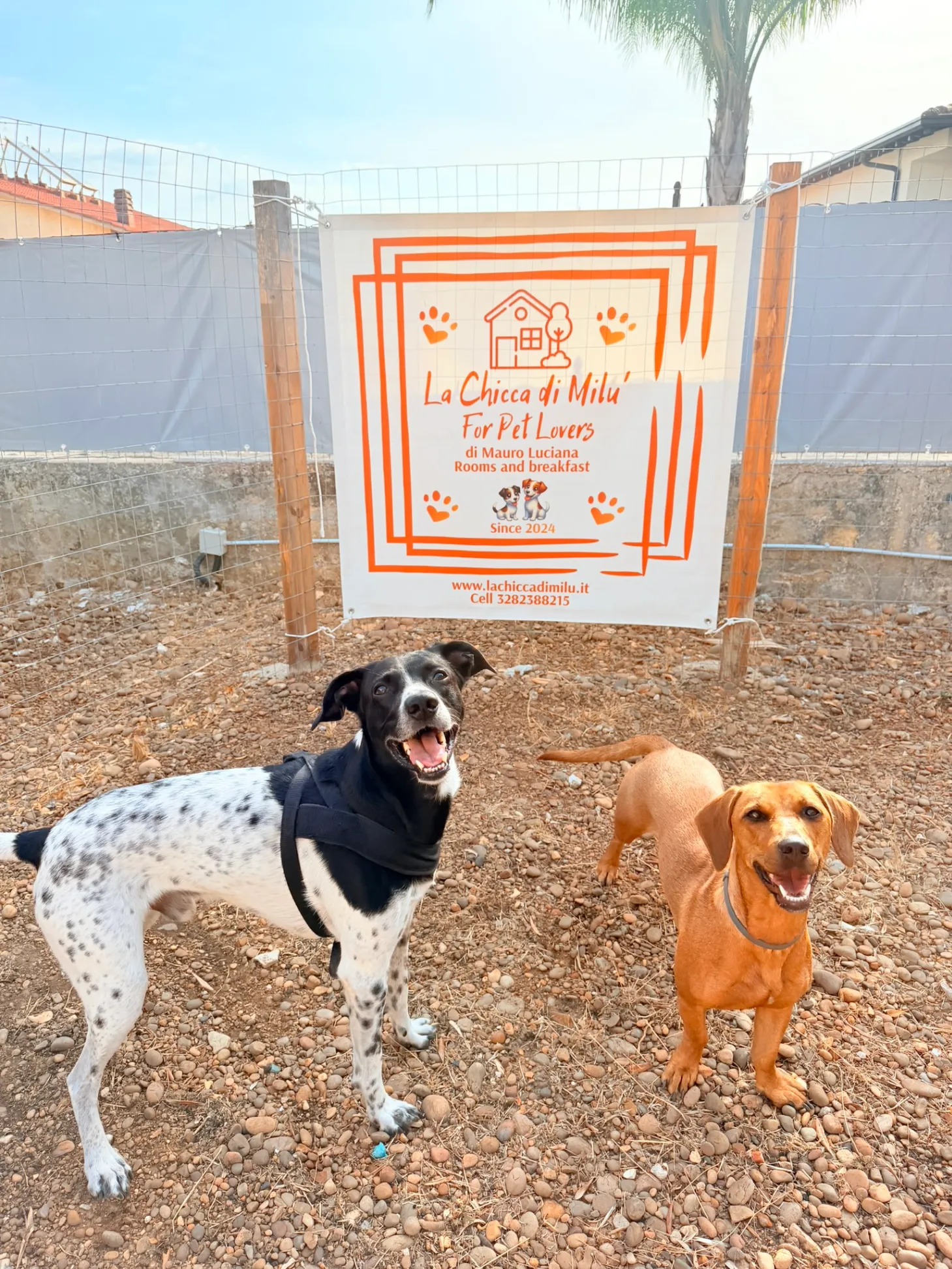 La Chicca di Milu' for Pet Lovers — foto 15
