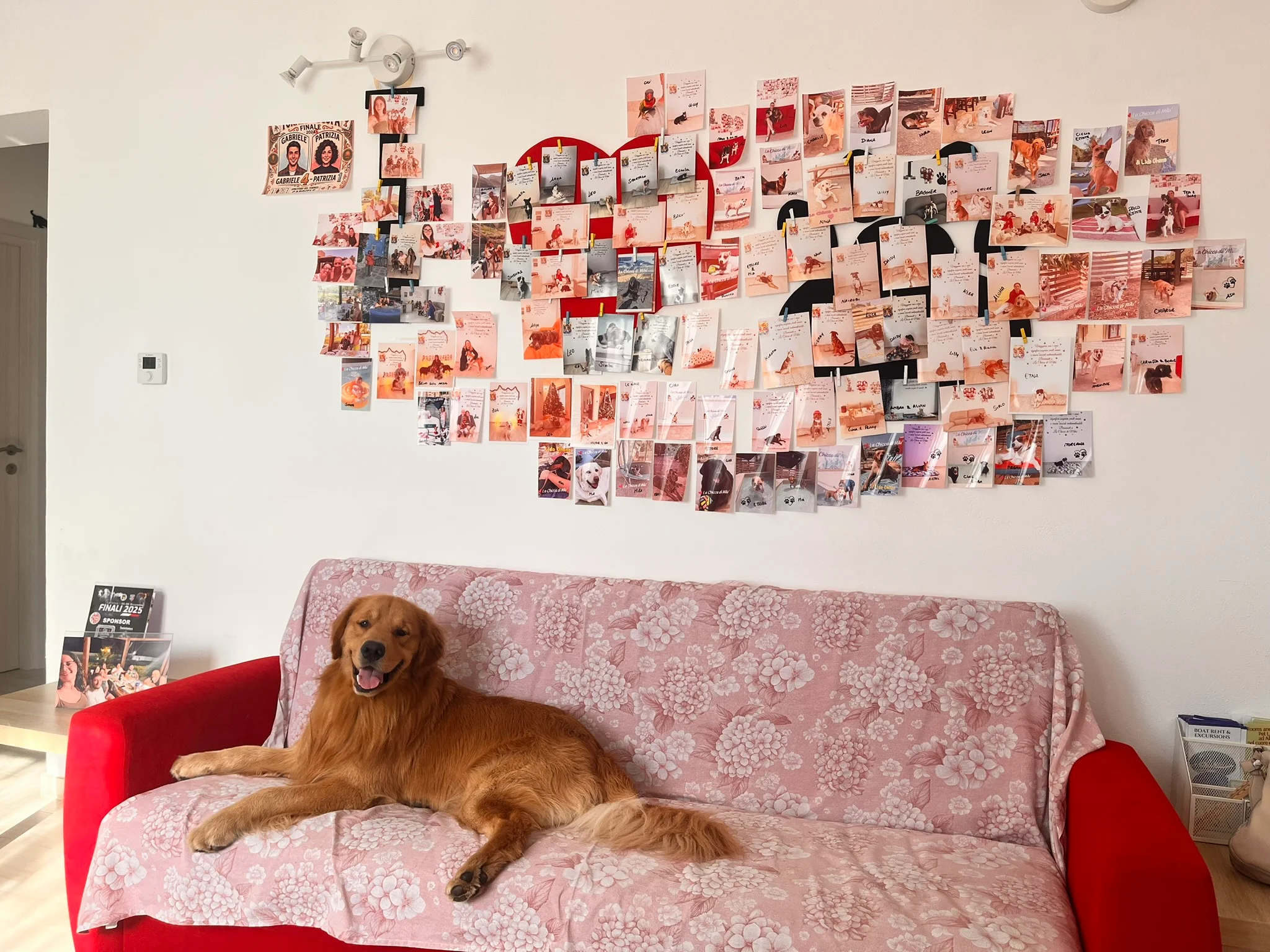 La Chicca di Milu' for Pet Lovers — foto 17